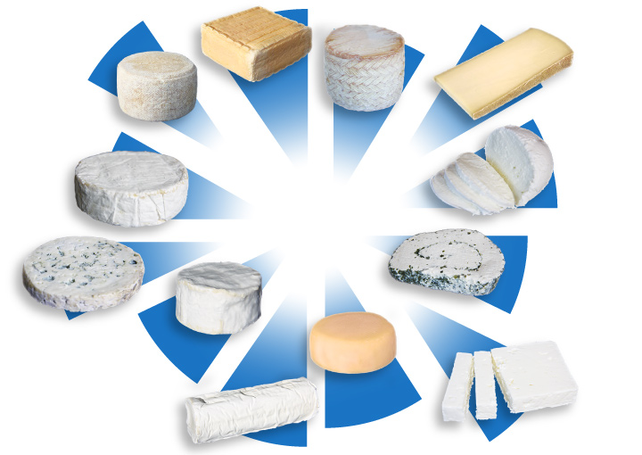 conditionnement air industrie fromagere